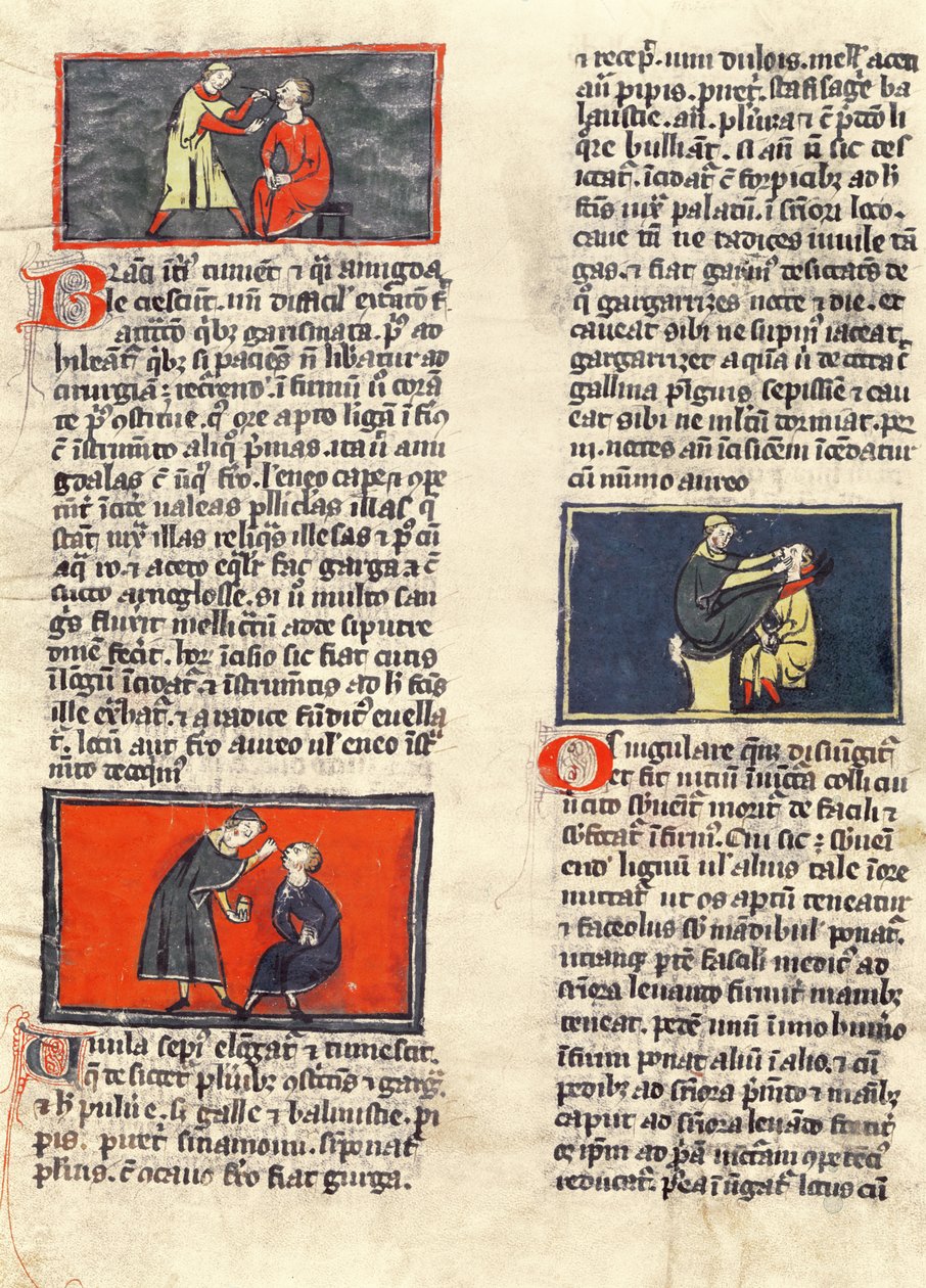 H 89 fol.16v牙科手术，来自Rogier de Salerne的“外科手术” 作者 法语学校