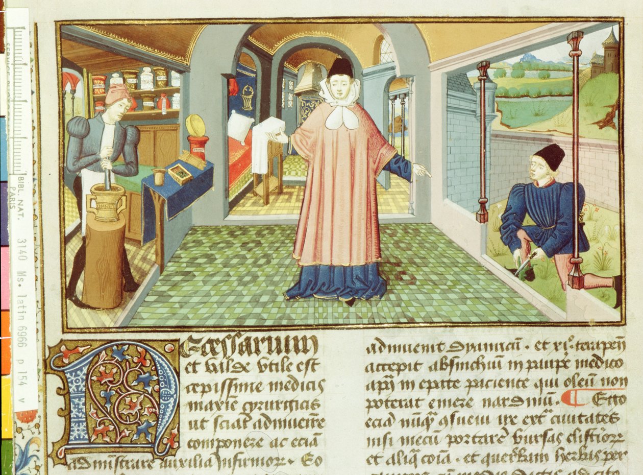 Lat 6966 fol.154v切割植物和制备药物，来自LAntidotaire by Bernard de Gordon 作者 法语学校