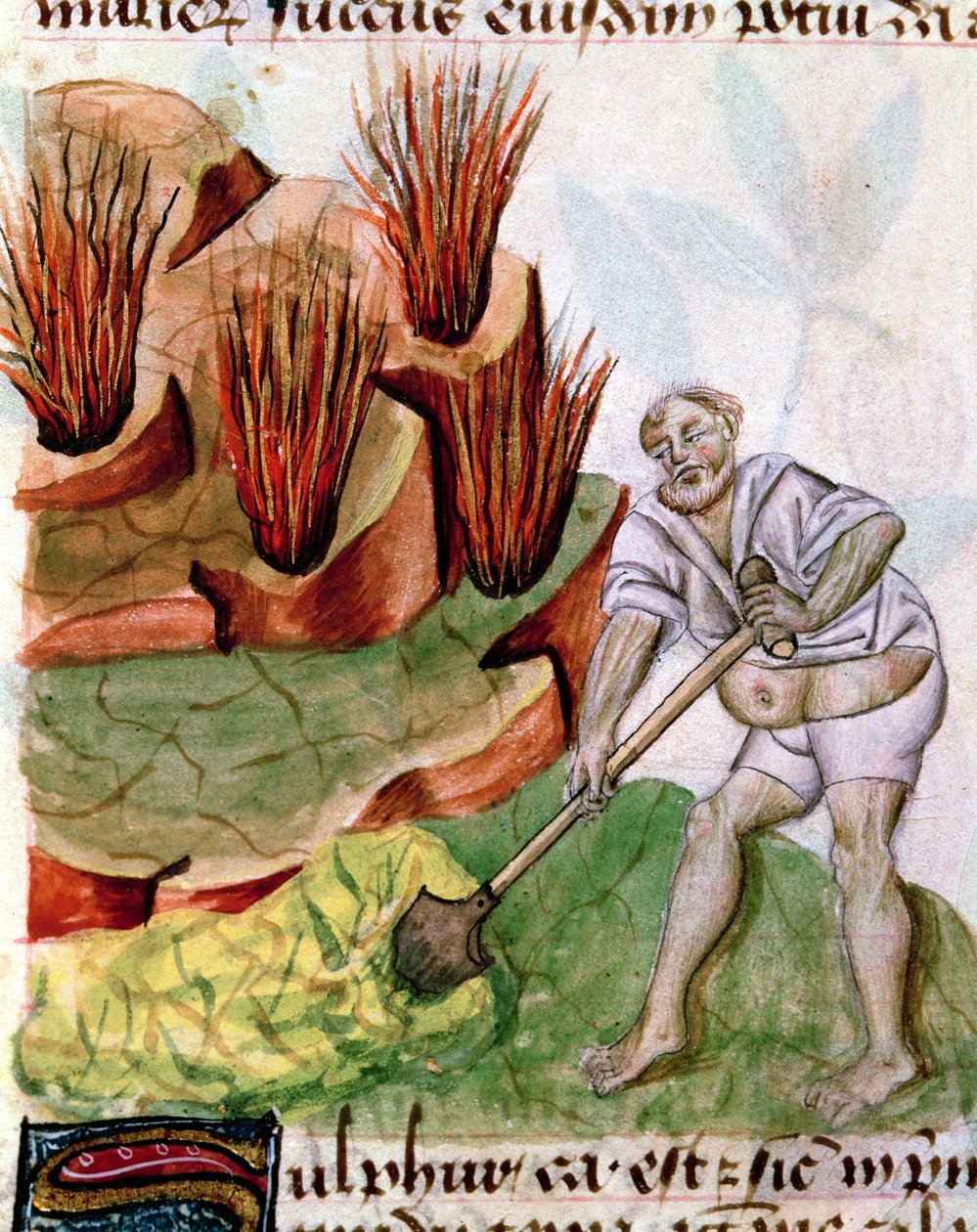 Lat 993 L.9.28 f.123v女士寻找来自Dioscorides De Herbis的硫磺 作者 法语学校