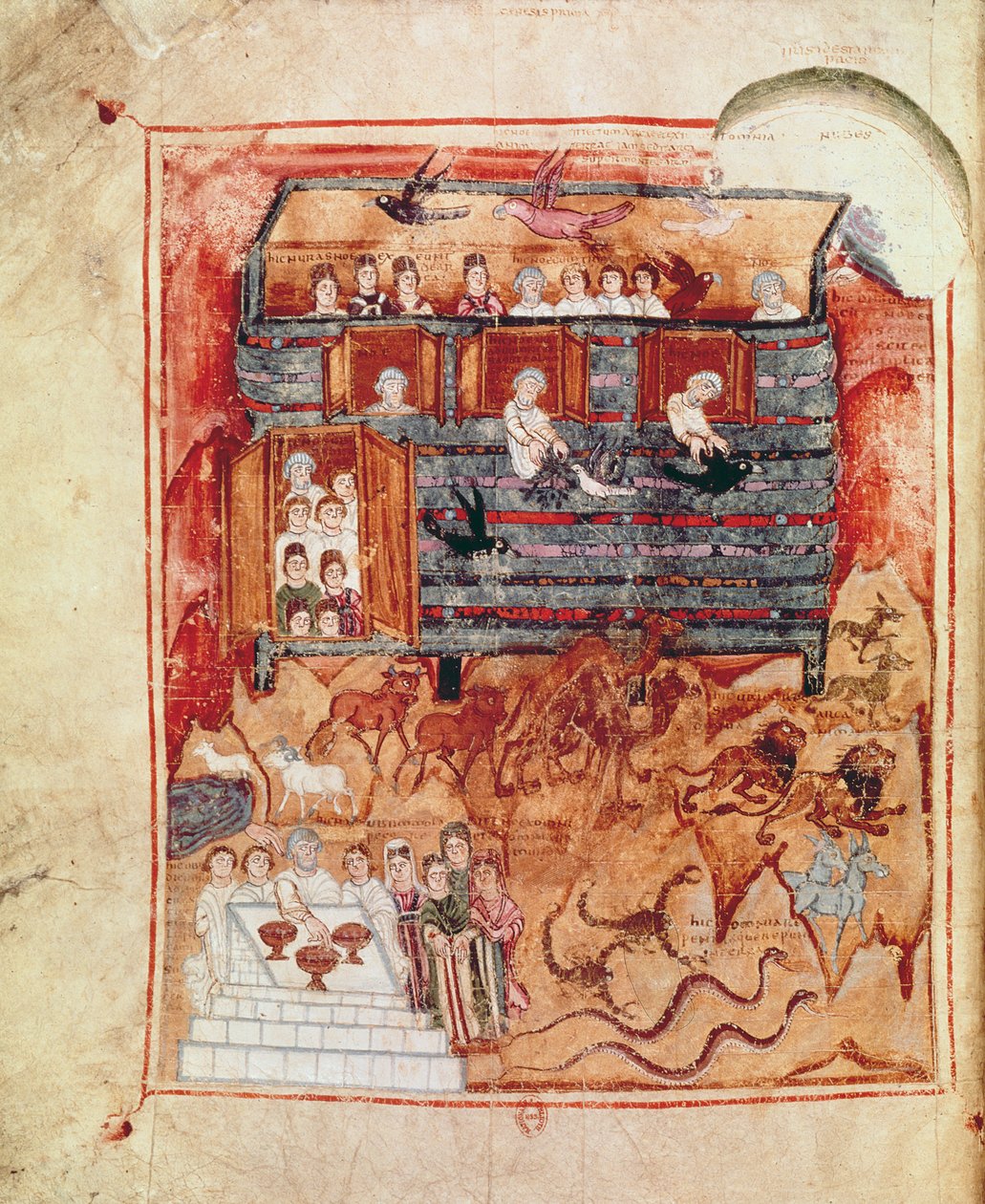 NAL 2334 fol.10v Noahs Ark，来自De Tours Pentateuch 作者 法语学校