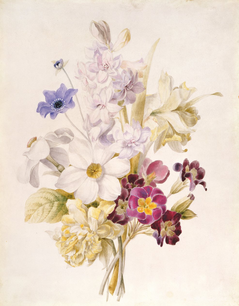 水仙和其他花卉，1840年（纸上写着） 作者 法语学校