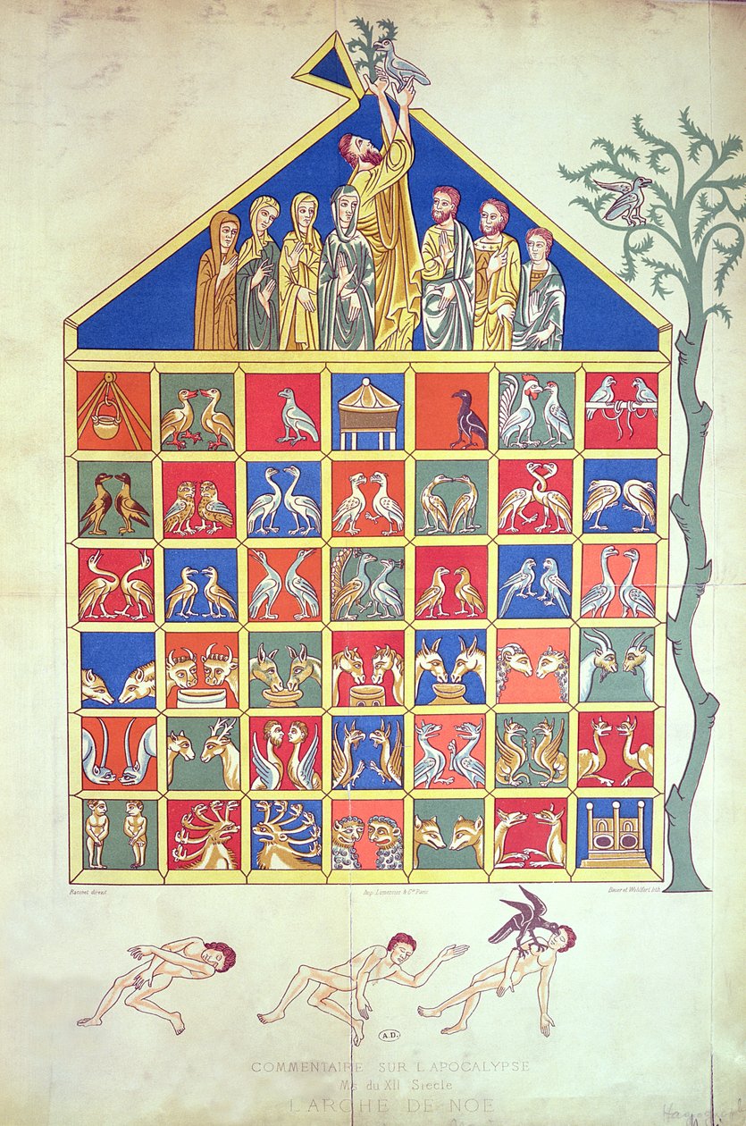 Noahs Ark，传说12世纪的原始手稿，19世纪 作者 法语学校