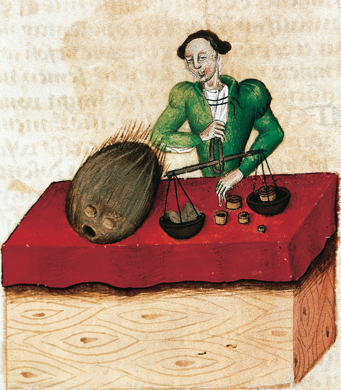 Nutmeg merchant, miniature from Tractatus de herbis, France 15th Century. 作者 法语学校