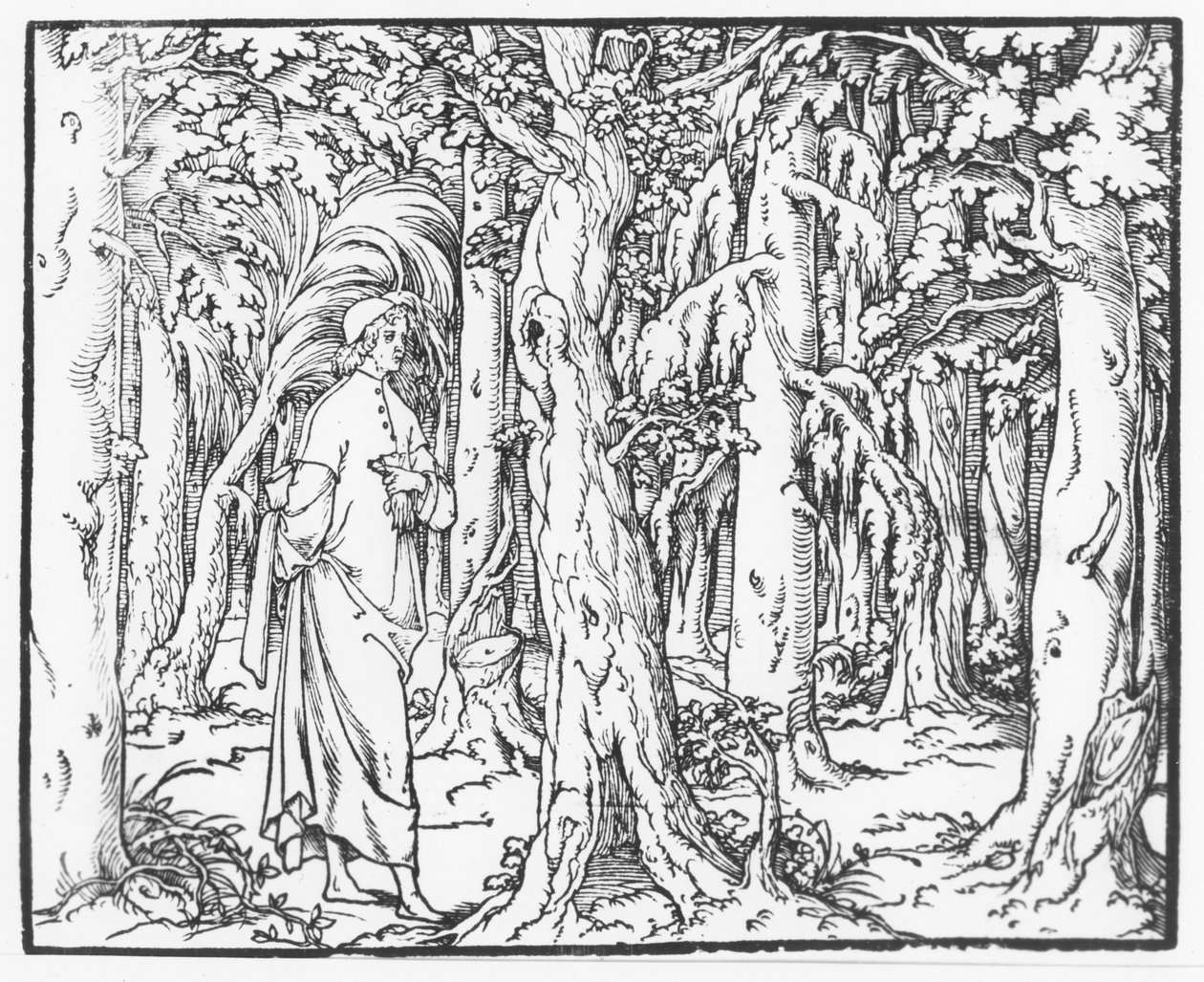 1546年，弗朗切斯科·科隆纳（Francesco Colonna）撰写的“舆论之声” 作者 法语学校