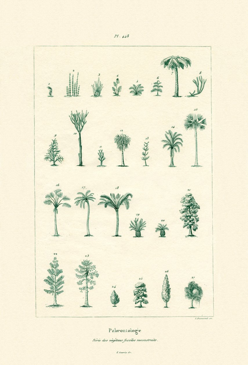 古生物学，1833-39 作者 法语学校