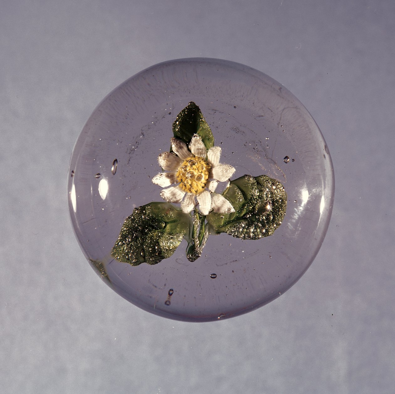 Paperweight，Pantin Workshop，c.1850（玻璃） 作者 法语学校