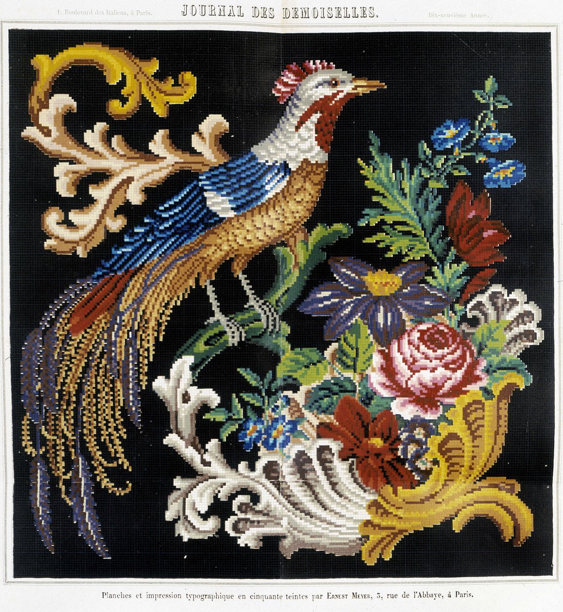 十字绣图案（天堂鸟）--载于《Demiselles杂志》1852年。 作者 法语学校