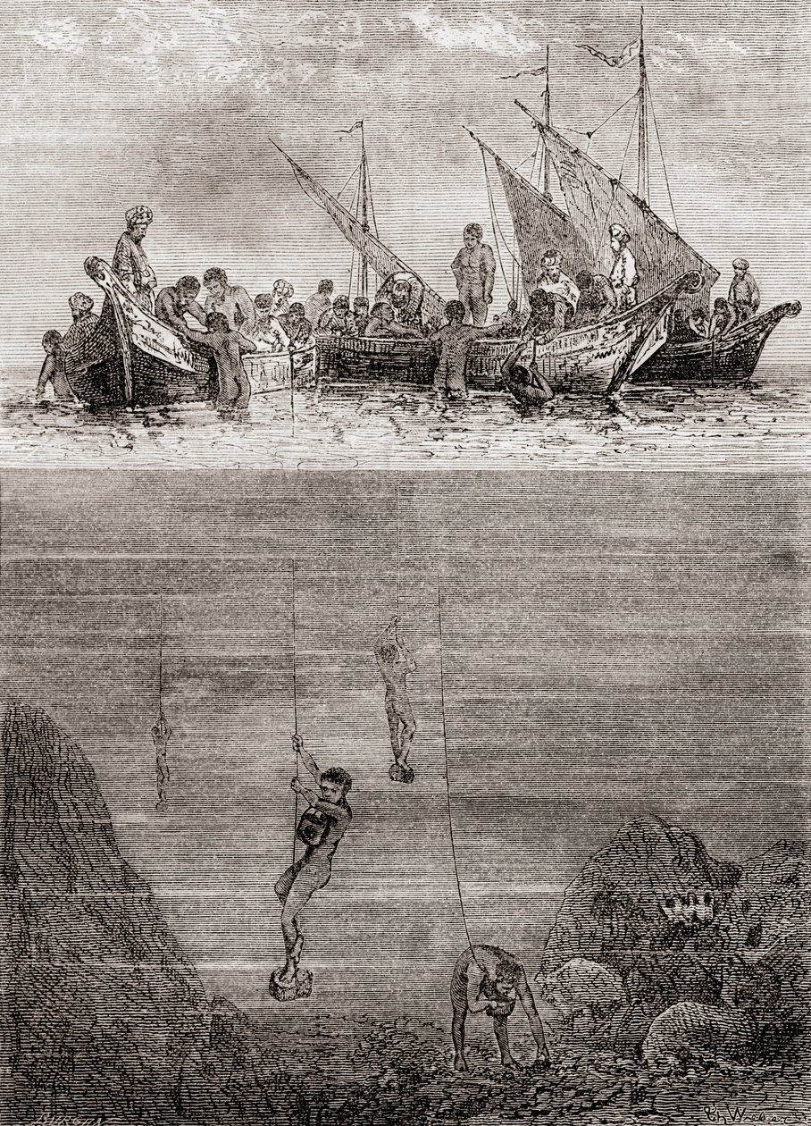 Pearl divers off the coast of the Island of Ceylon in the 18th century, from 