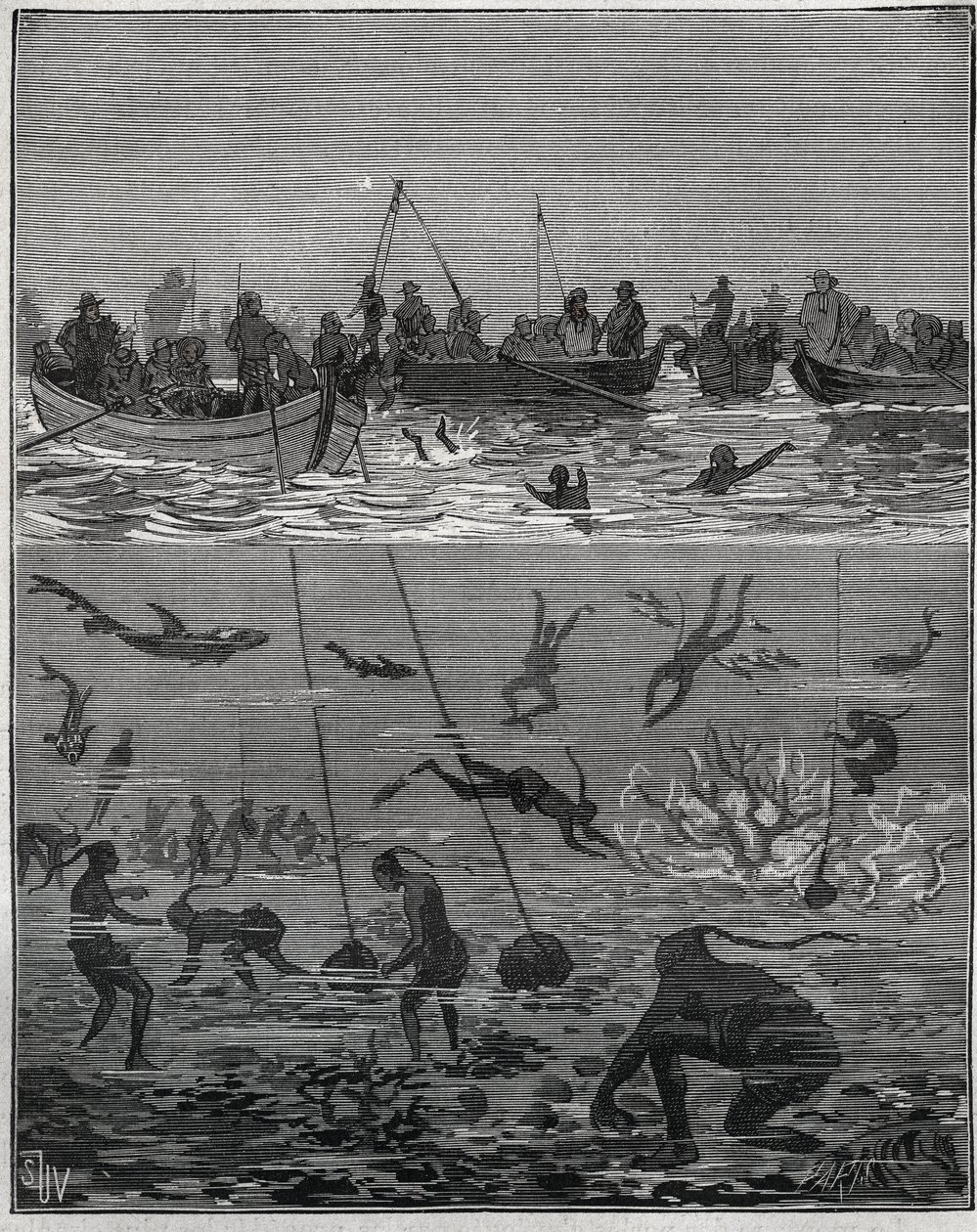 Pearl peachers in Ceylon (present-day Sri Lanka) in the 19th century. Engraving from 1885 in “” Les arts et metiers illustres”” by Adolphe BITARD. 作者 法语学校