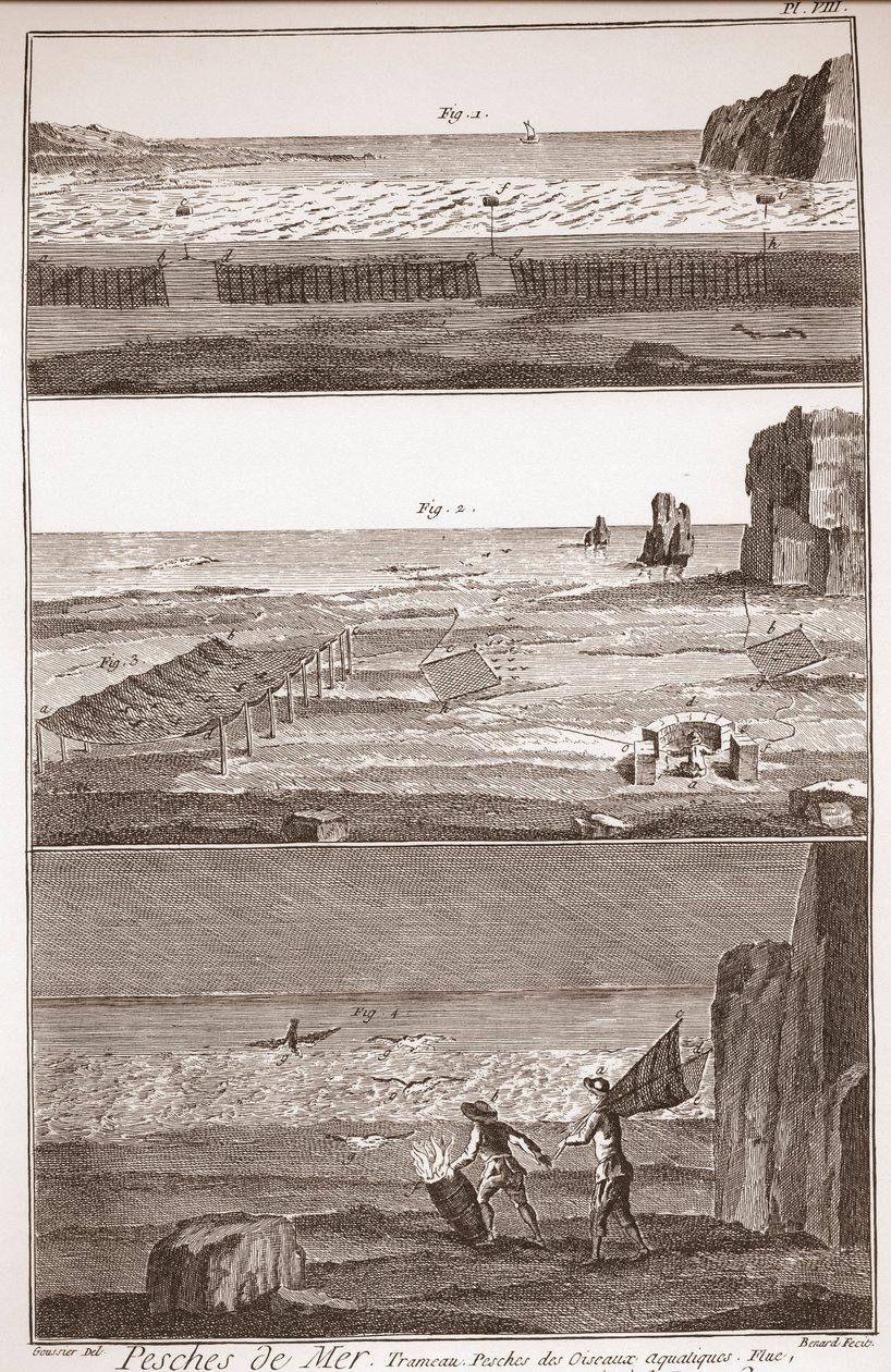 Peche de Mer - Trameau - Waterbird Fishing - “” The Great Encyclopedie, ou Dictionnaire Raisonne des Sciences, des Arts et des Metiers” (Encyclopedia or Dictionary of the Sciences, Arts and Professions) by Denis Diderot (1713-1784) and Jean d