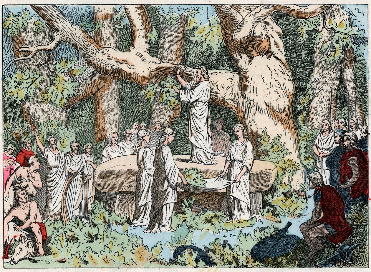 从高勒的德鲁伊那里采摘槲寄生，19世纪末（雕版画）。 作者 法语学校