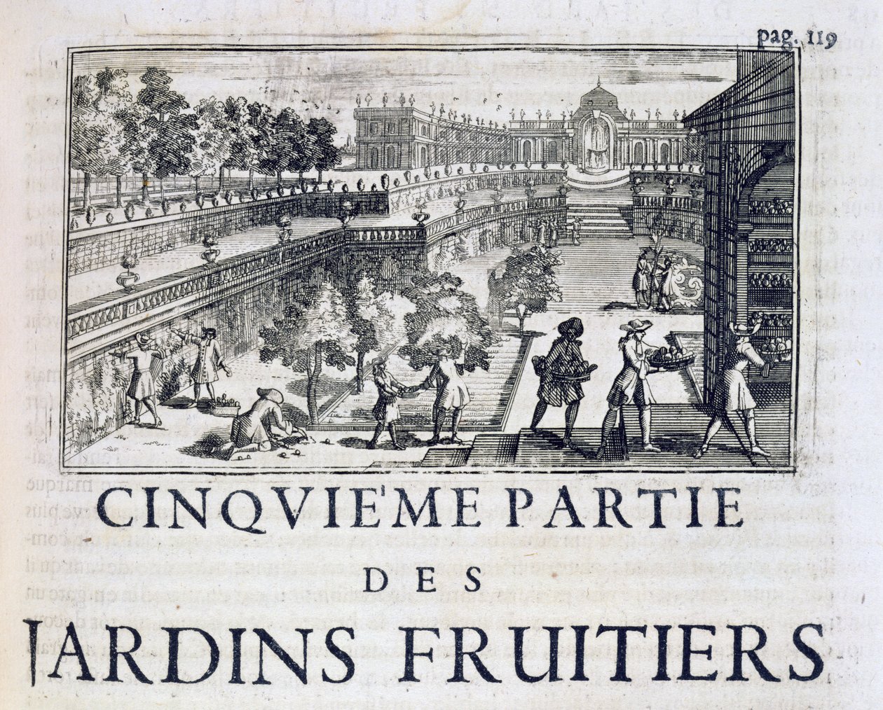 由完美园丁种植果树，或由Jean de la Quintinye设计的果园和菜园指示，于1695年出版 作者 法语学校