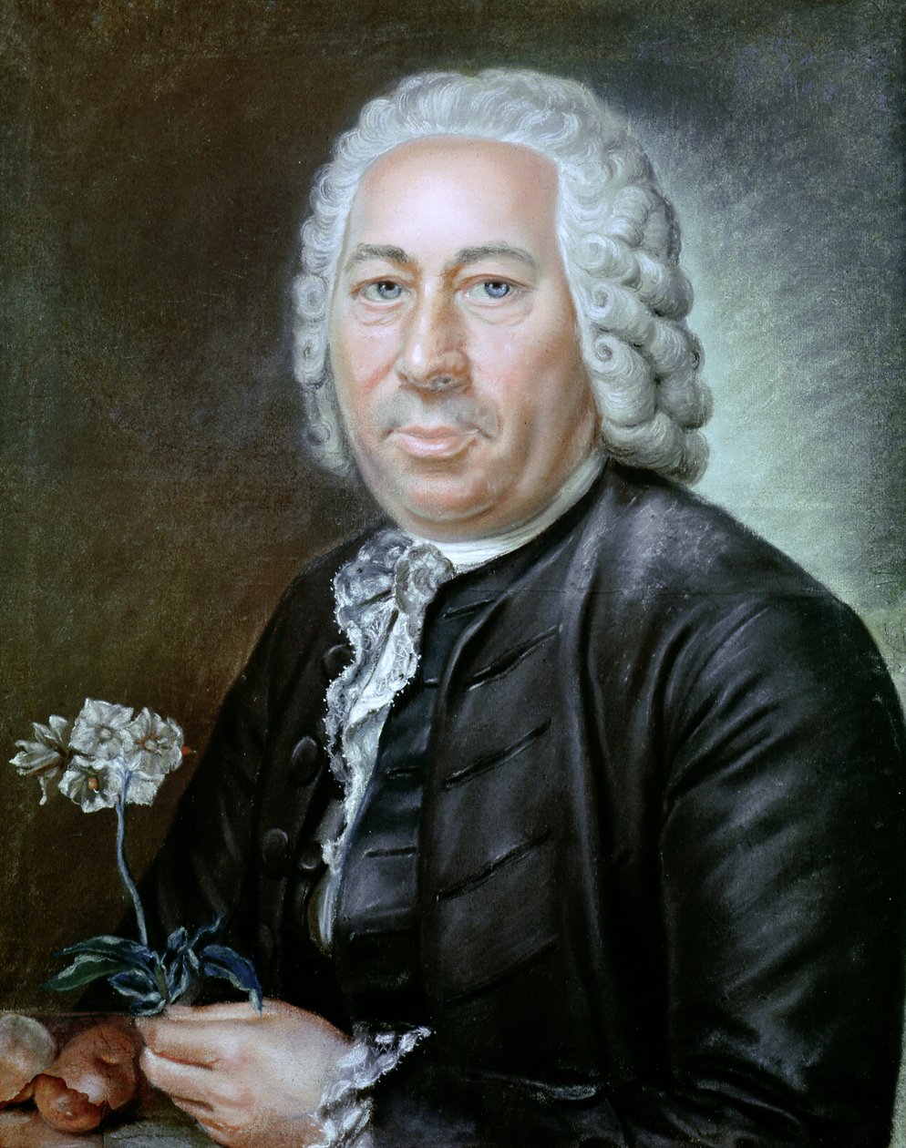 Antoine Augustin Parmentier的肖像（1737-1813） 作者 法语学校