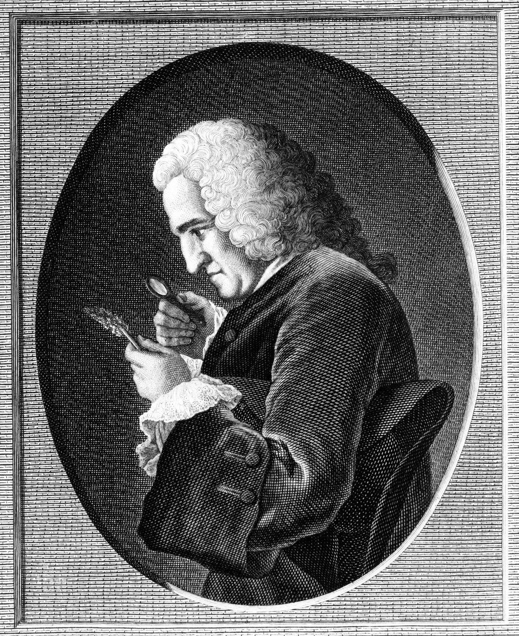 Jussieu伯纳德的肖像（1699-1777） 作者 法语学校