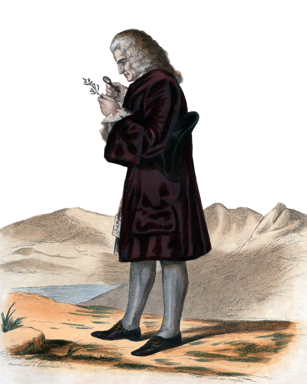 Bernard de Jussieu（1699-1777）的肖像，法国博物学家。 作者 法语学校