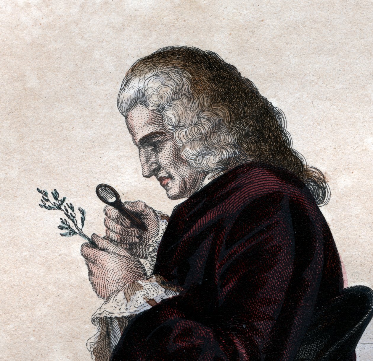 Bernard de Jussieu（1699-1777）的肖像，法国博物学家。 作者 法语学校