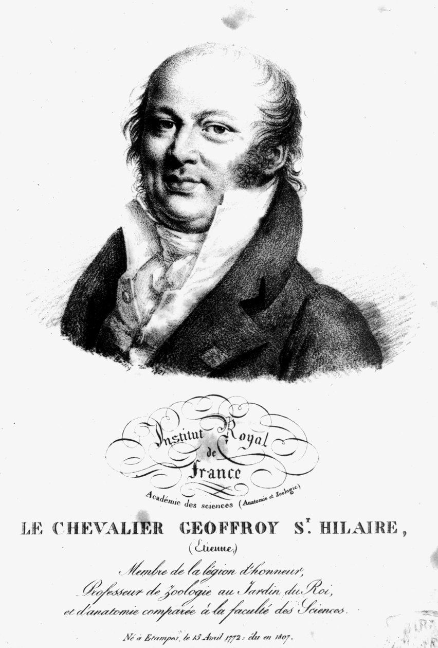 Stephen Geoffroy Saint-Hilaire的肖像（1722-1844） 作者 法语学校