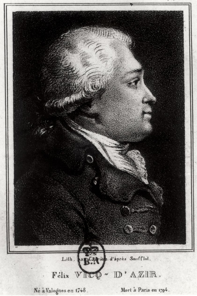 Felix Vicq dAzyr的肖像（1748-94） 作者 法语学校