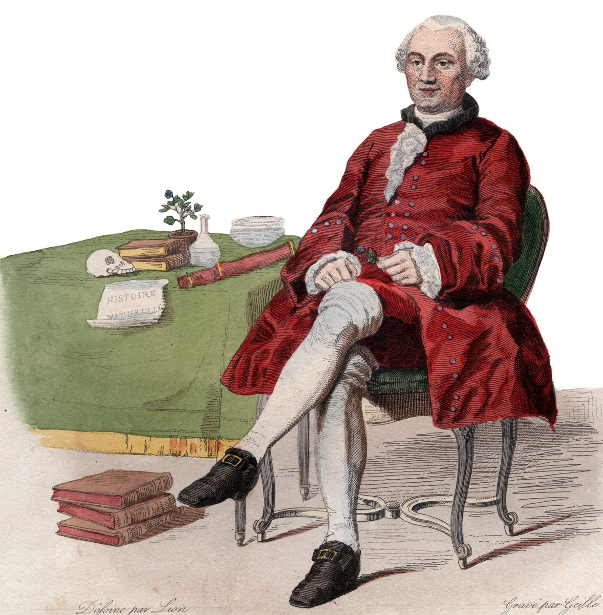 乔治路易斯勒克莱尔的肖像，布冯伯爵（1707-1788），法国博物学家。 作者 法语学校