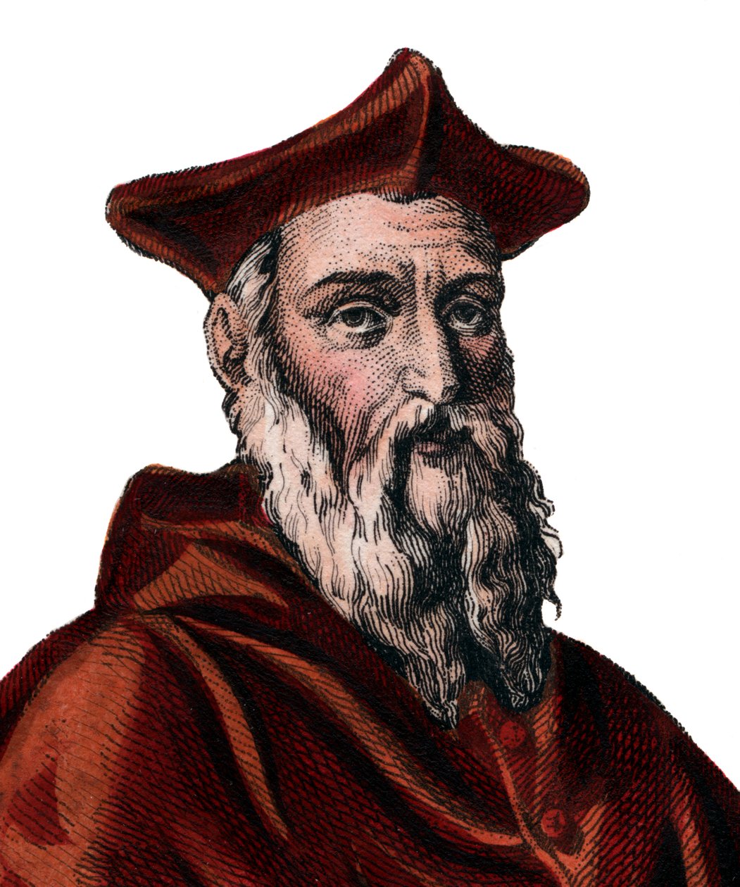 Jean du Bellay（1492-1560），法国红衣主教和外交官的肖像。 作者 法语学校