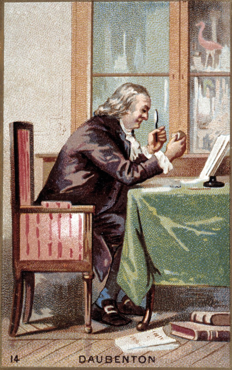 Louis Jean Marie Daubenton (1716 - 1800) 的肖像，法国博物学家。 作者 法语学校