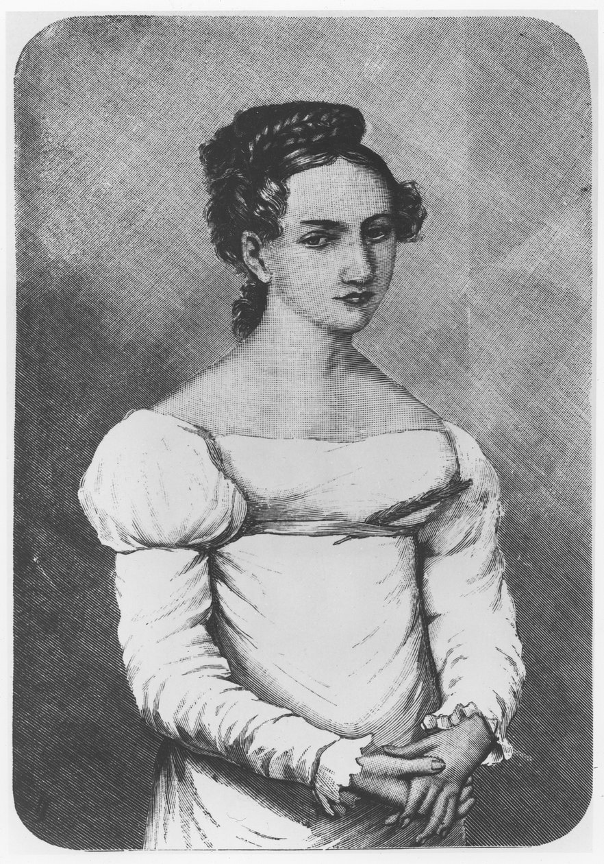 Maria Wereszczaka的肖像 作者 法语学校