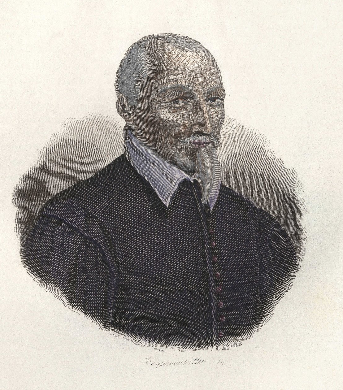 Olivier de Serres (1539-1619) 的肖像，法国农学家。 在“有用男人的肖像”中 作者 法语学校