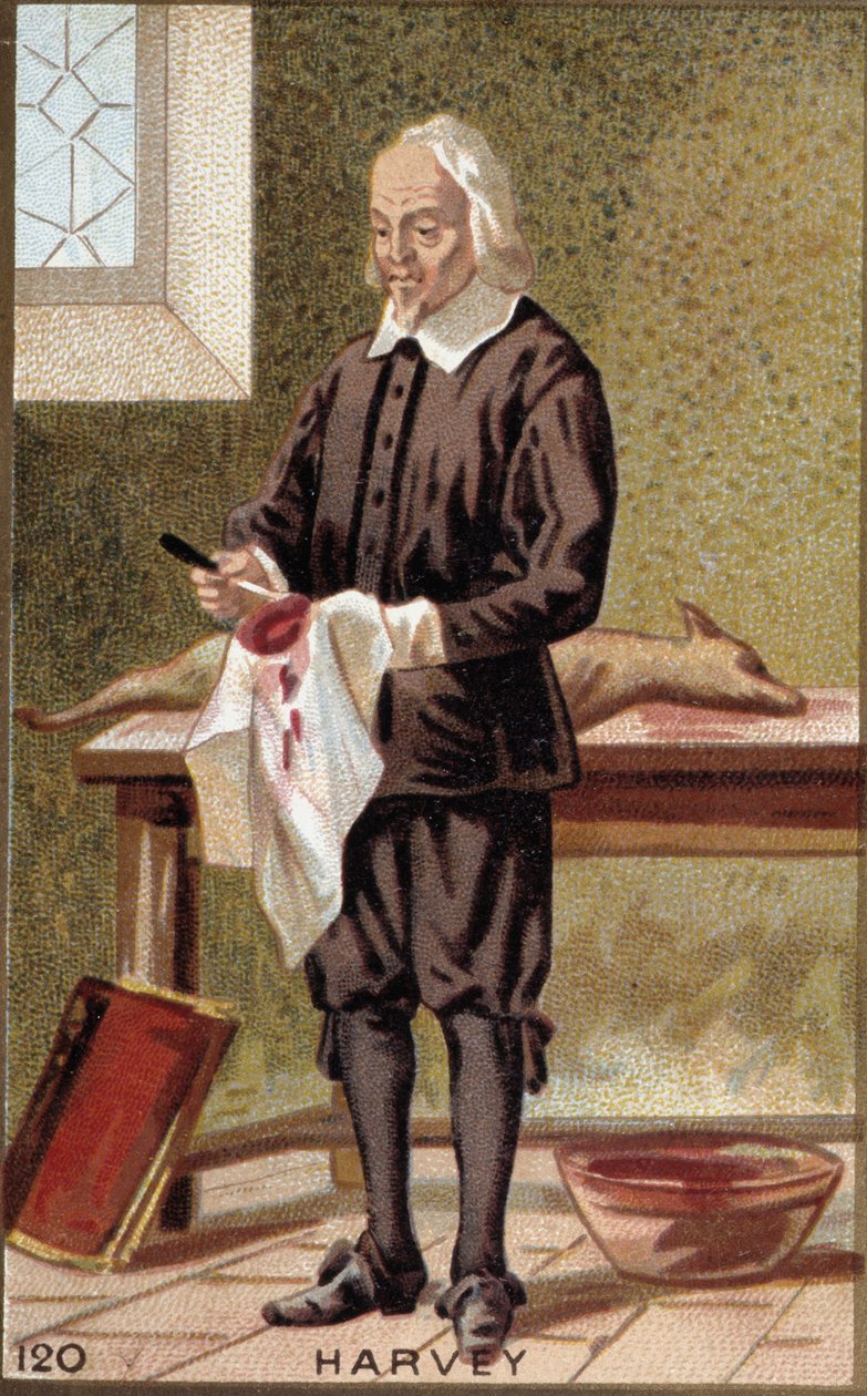 Portrait of William Harvey (1578-1657), English physician. 作者 法语学校