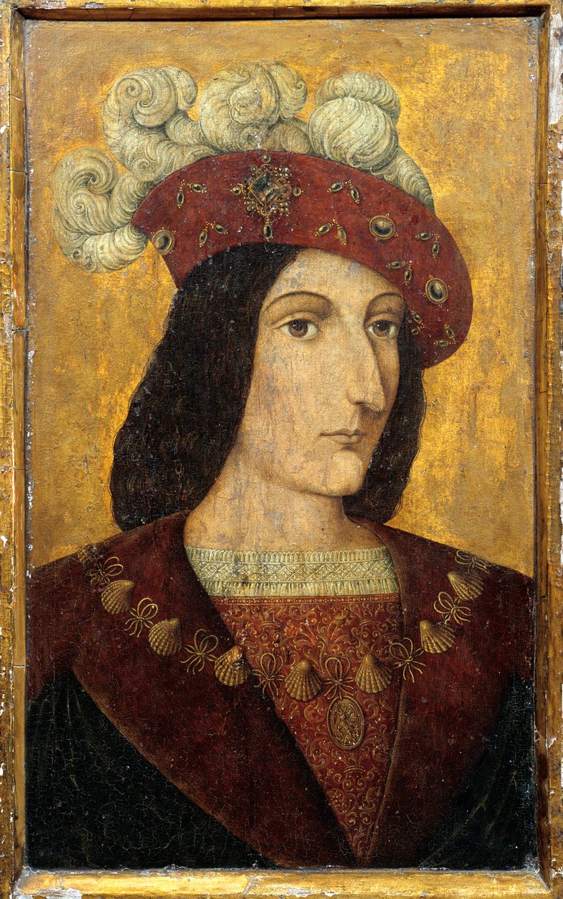 法国国王查理八世(1470-1498)的肖像，法国画派的木画。15世纪的朗热城堡 作者 法语学校