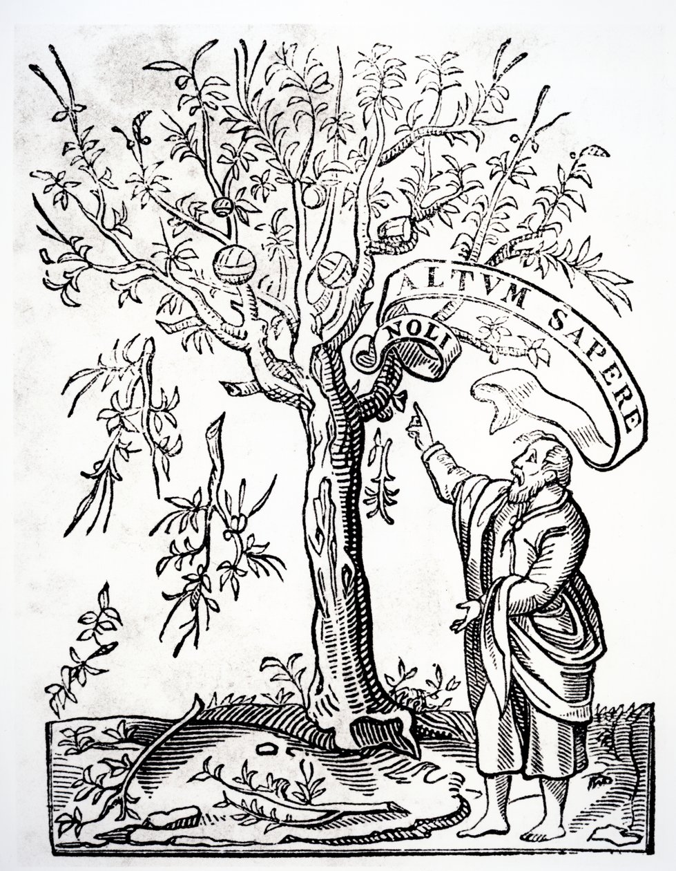 1526年，巴黎Robert Estienne的打印机会徽 作者 法语学校