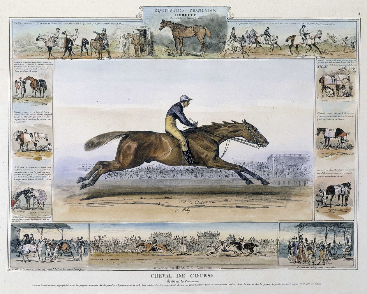 Race horse in “” Picturesque history of ancient and modern riding”” by Charles Aubry 作者 法语学校