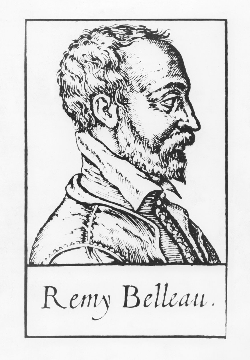 雷米·贝洛（Remy Belleau）（雕刻） 作者 法语学校