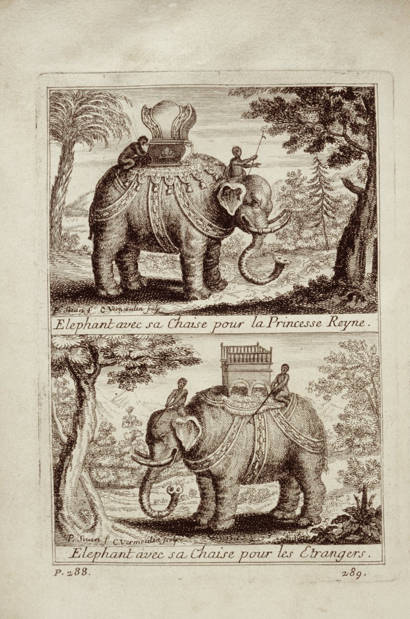 皇家大象，1688年来自Guy Tachard的Voyage du Siam des Peres Jesuites 作者 法语学校