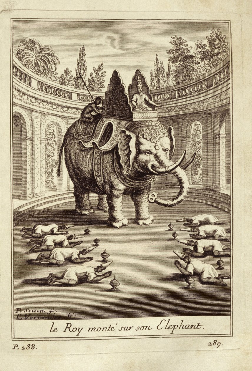 皇家大象，1688年来自Guy Tachard的Voyage du Siam des Peres Jesuites 作者 法语学校