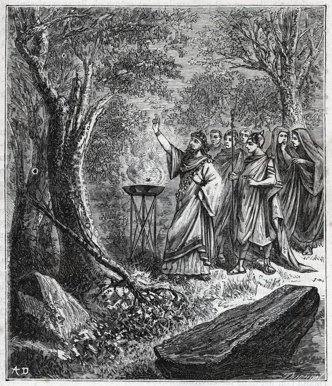 STRUFERTARI (fete in ancient Rome to purify the blasted trees) - Engraving in “” Sciences brought to the grasp of all - popular physics and chemistry”” by Alexis Clerc - End of 19th century. Private collection. 作者 法语学校