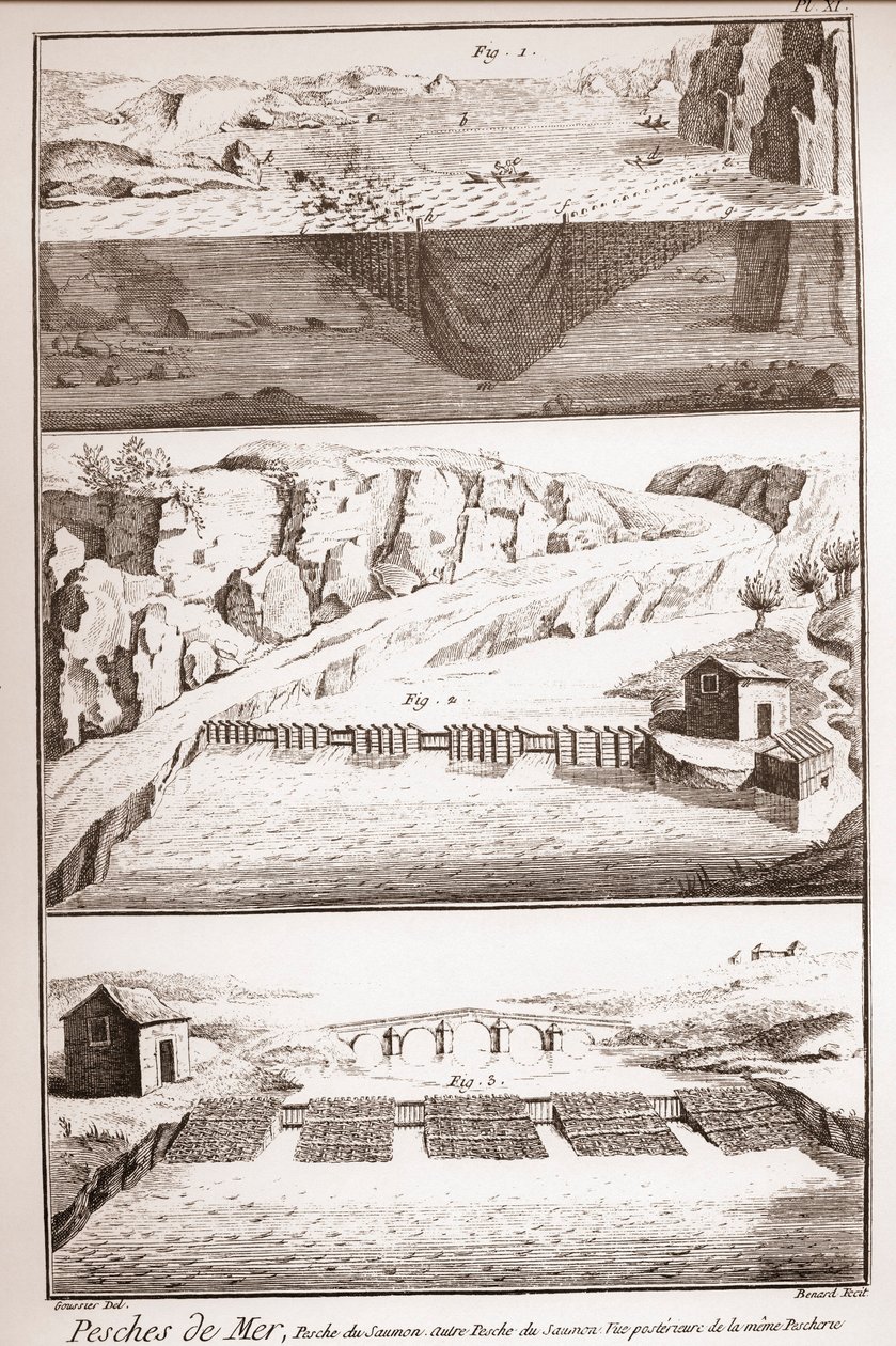 三文鱼捕捞技术--丹尼斯-狄德罗（1713-1784）和让-达朗贝尔（1717-1783）的《科学、艺术和职业百科全书或词典》。 作者 法语学校