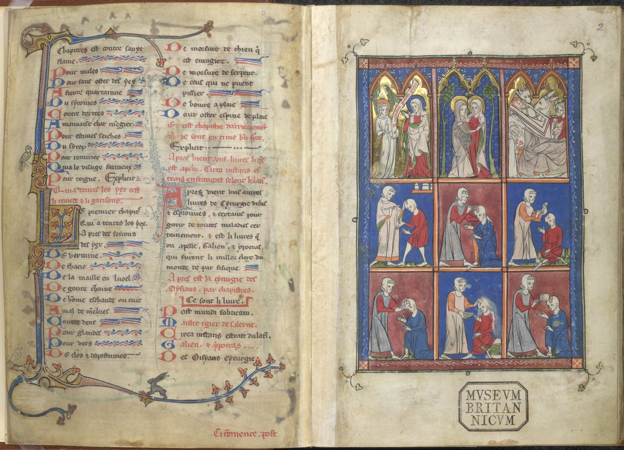Sloane 1977,f.2 The Chirurgia：圣经与医学场景 作者 法语学校