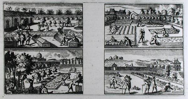 打理花园，摘自Jean de La Quintinye的《The Compleat Gard