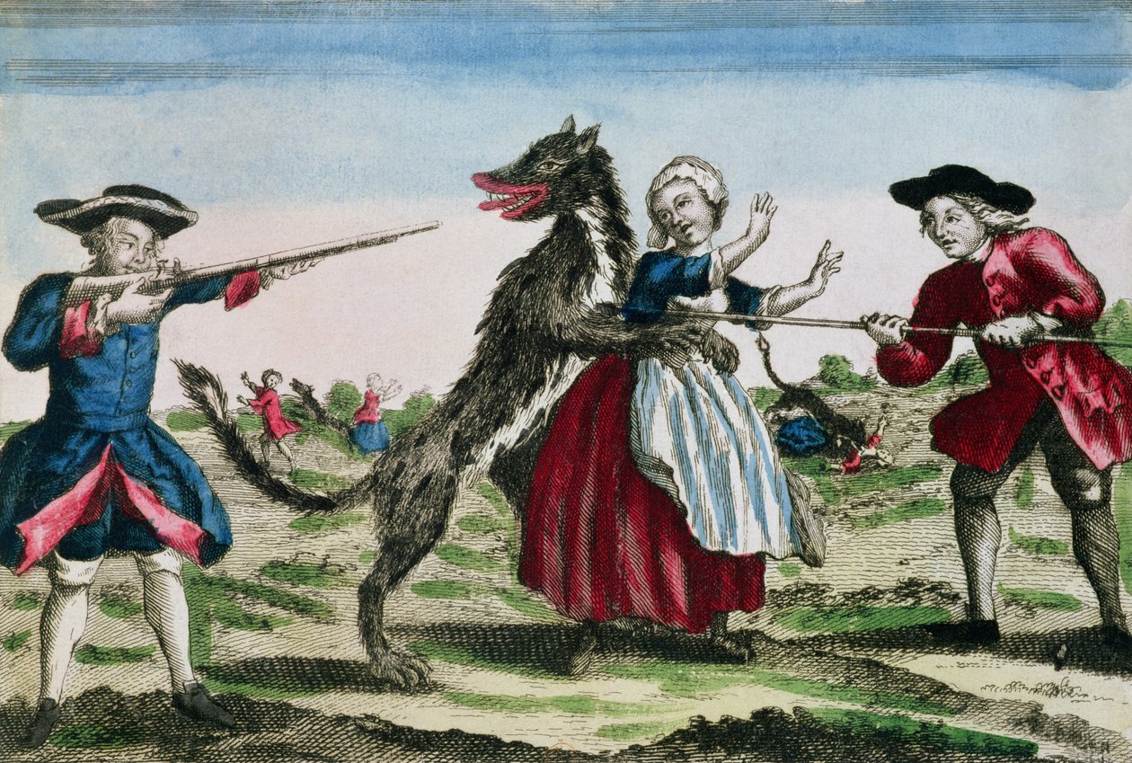 Gevaudan的野兽，由Basset出版，1764年（彩色雕刻） 作者 法语学校