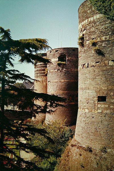 Chateau dAngers，完成1238年 作者 法语学校