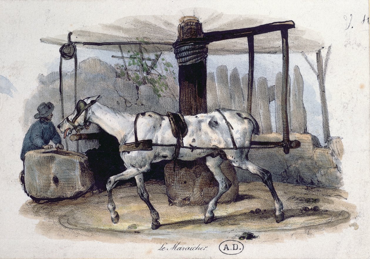 市场园丁，1840年 作者 法语学校