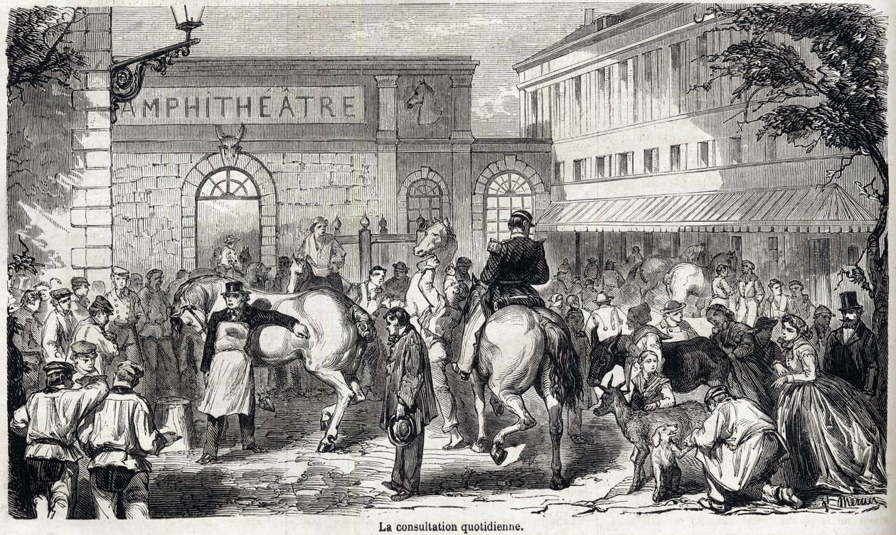 阿尔福国家兽医学校 - Les grandes écoles de france - école veterinaire de maison alfort en 1866 - La consultation quotidienne - 1866年 "Le monde illustrious "中的雕版。 作者 法语学校