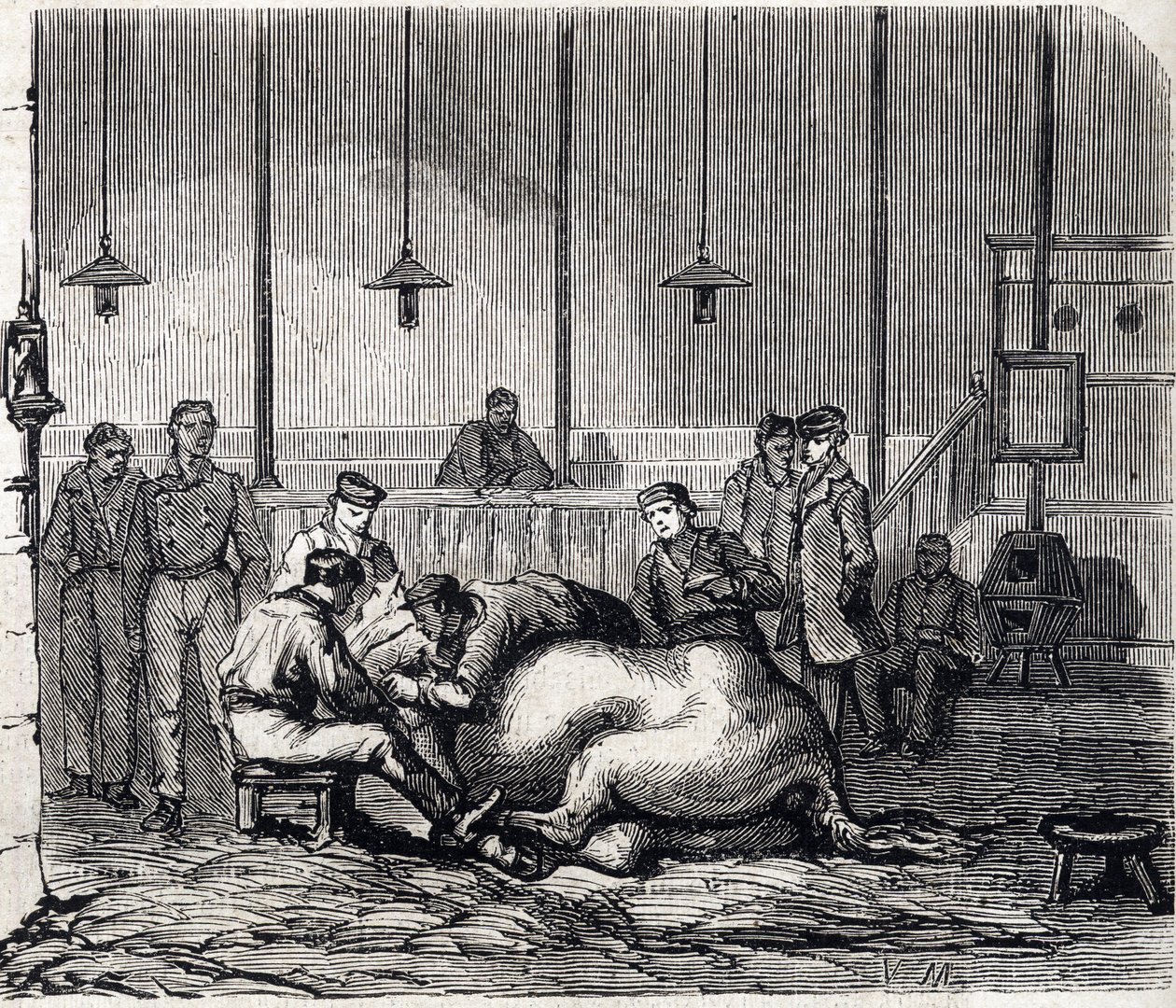 阿尔福国家兽医学校 - Les grandes écoles de france - école veterinaire de maison alfort en 1866 - la salle de dissection - 1866年 "Le monde illustrious "中的雕像 作者 法语学校