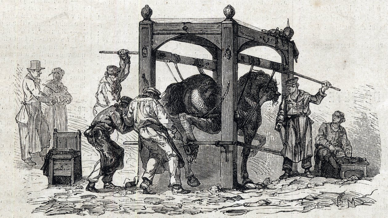 阿尔福国家兽医学校 - Les grandes écoles de france - école veterinaire de maison alfort en 1866 - le ferrage des chevaux retifs - 1866年 "Le monde illustrious "中的版画 作者 法语学校