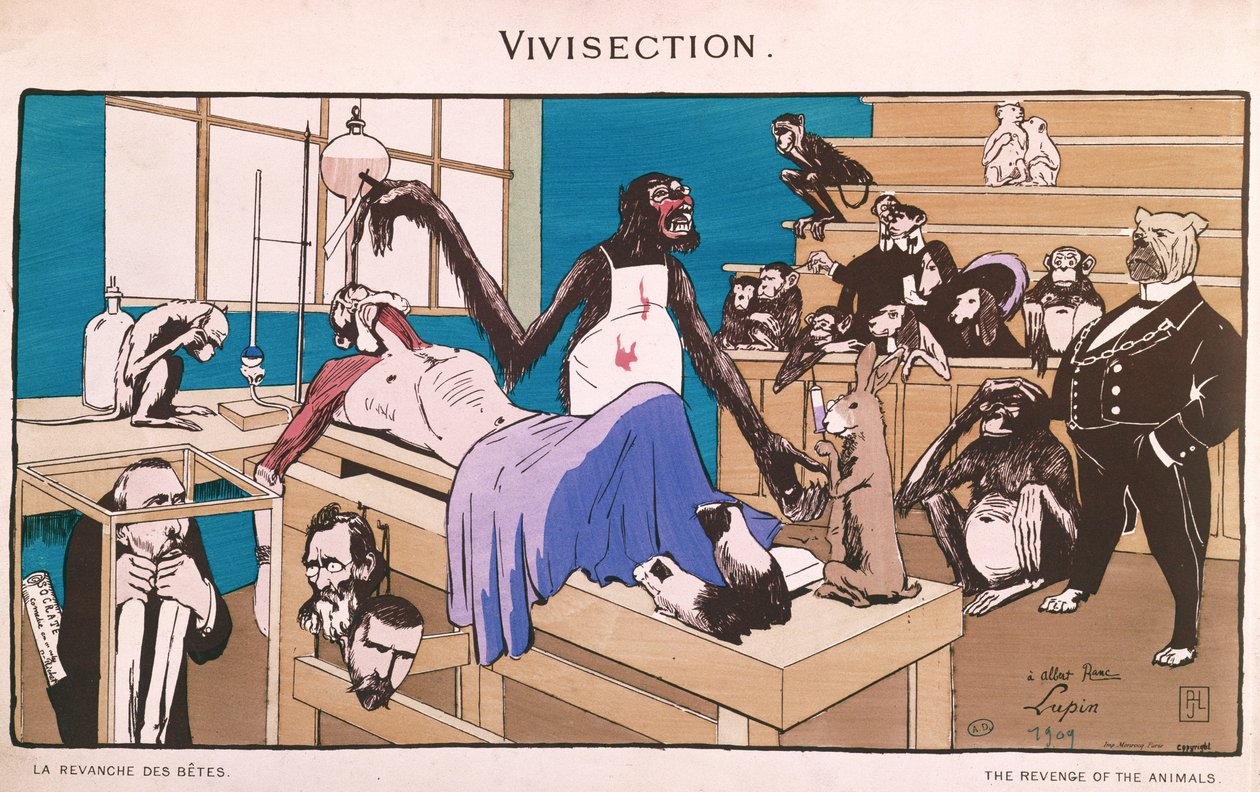 动物的复仇，活体解剖的讽刺，1909年 作者 法语学校