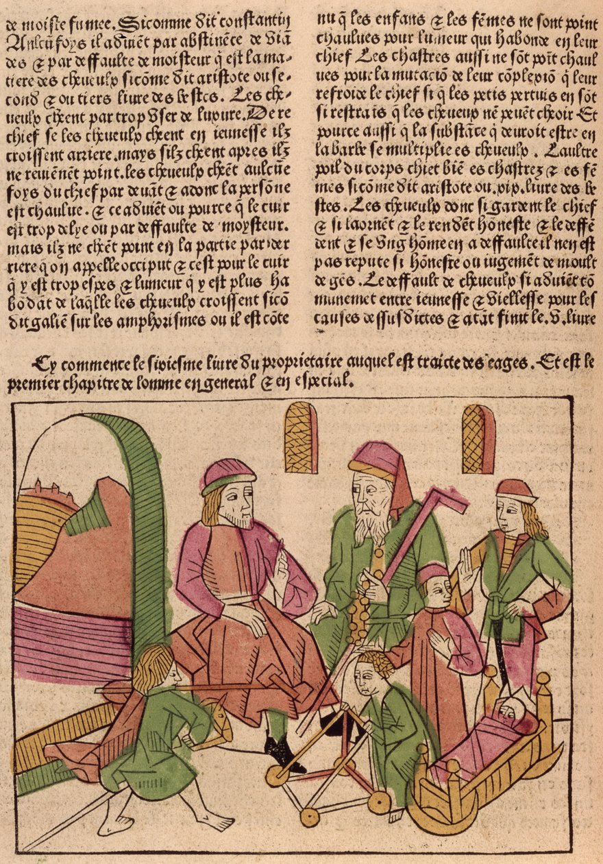 生活的阶段，来自巴特勒米英语的物语，1485年（彩色木刻） 作者 法语学校