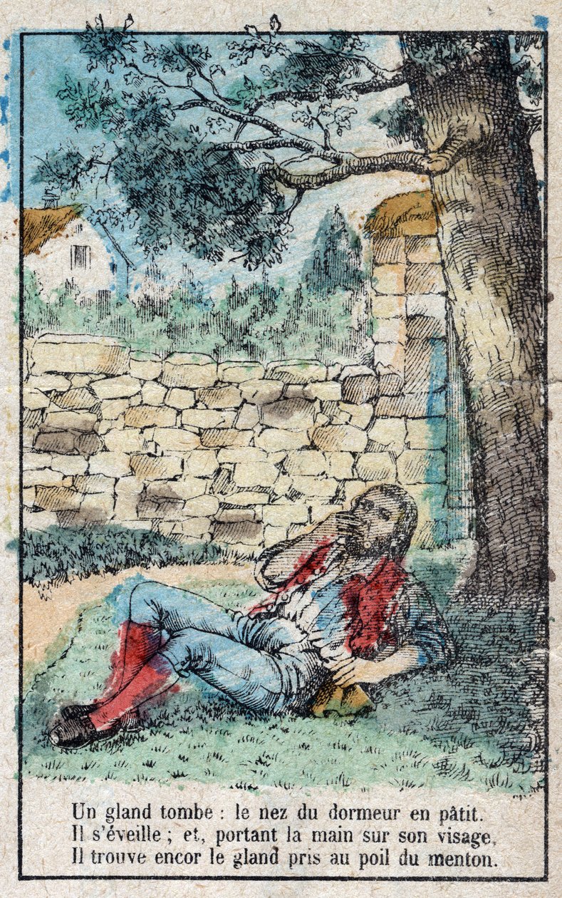 橡子和南瓜。Jean de La Fontaine (1621-95)的寓言。19世纪末的埃皮纳尔影像。 作者 法语学校