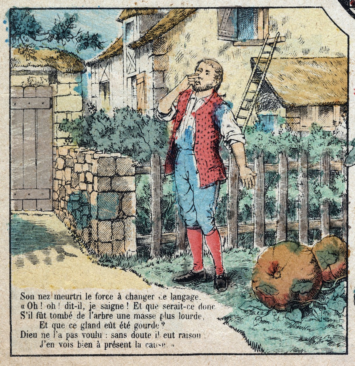 橡子和南瓜。Jean de La Fontaine (1621-95)的寓言。19世纪末的埃皮纳尔影像。 作者 法语学校