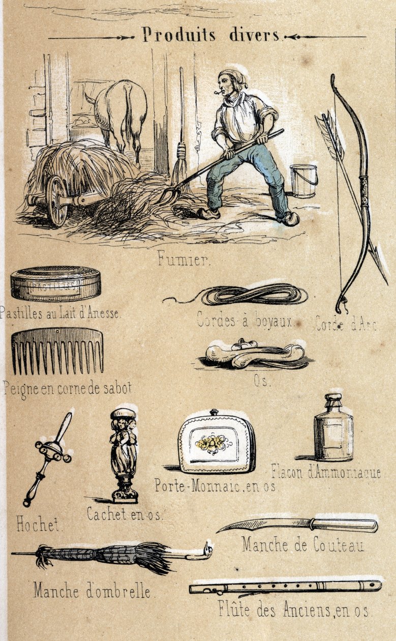 驴子和它的产品，1860年在 "指导性的娱乐 "中的雕刻，Jules DELBRUCK的同步画。私人收藏。 作者 法语学校