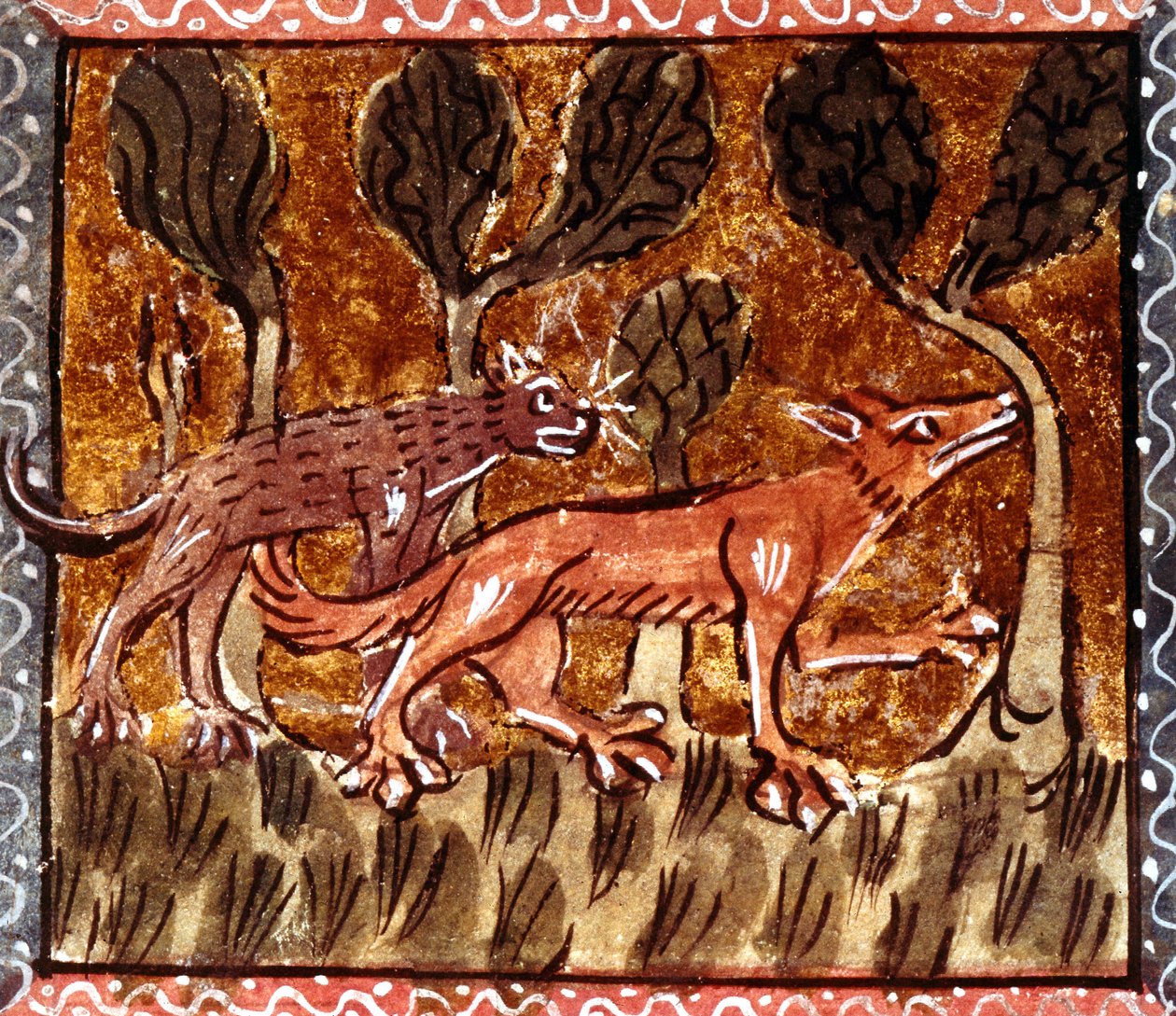 狐狸和狼，来自手稿的照片，名为Roman de Renart（The Fox of the Fox），c.13世纪 作者 法语学校